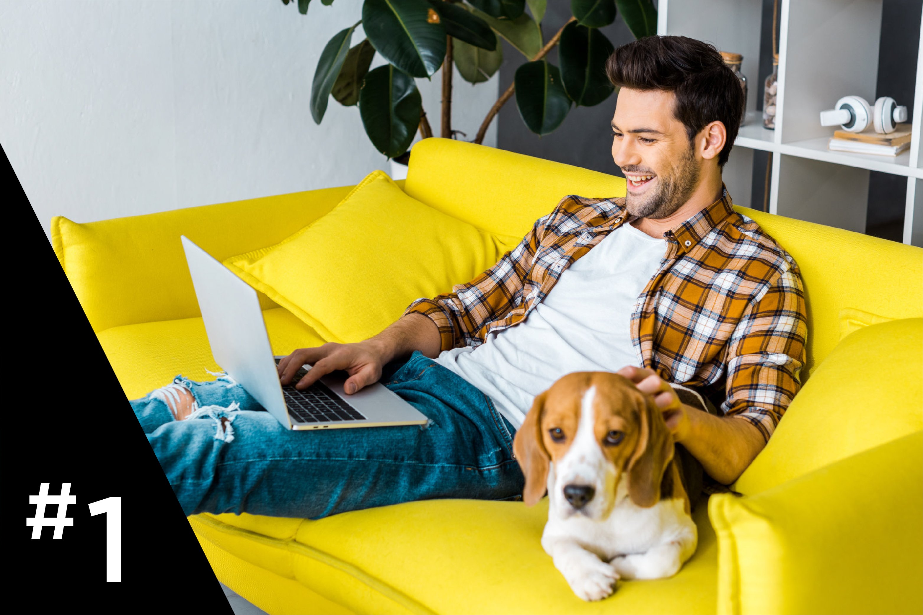 Man working from home on couch next to dog