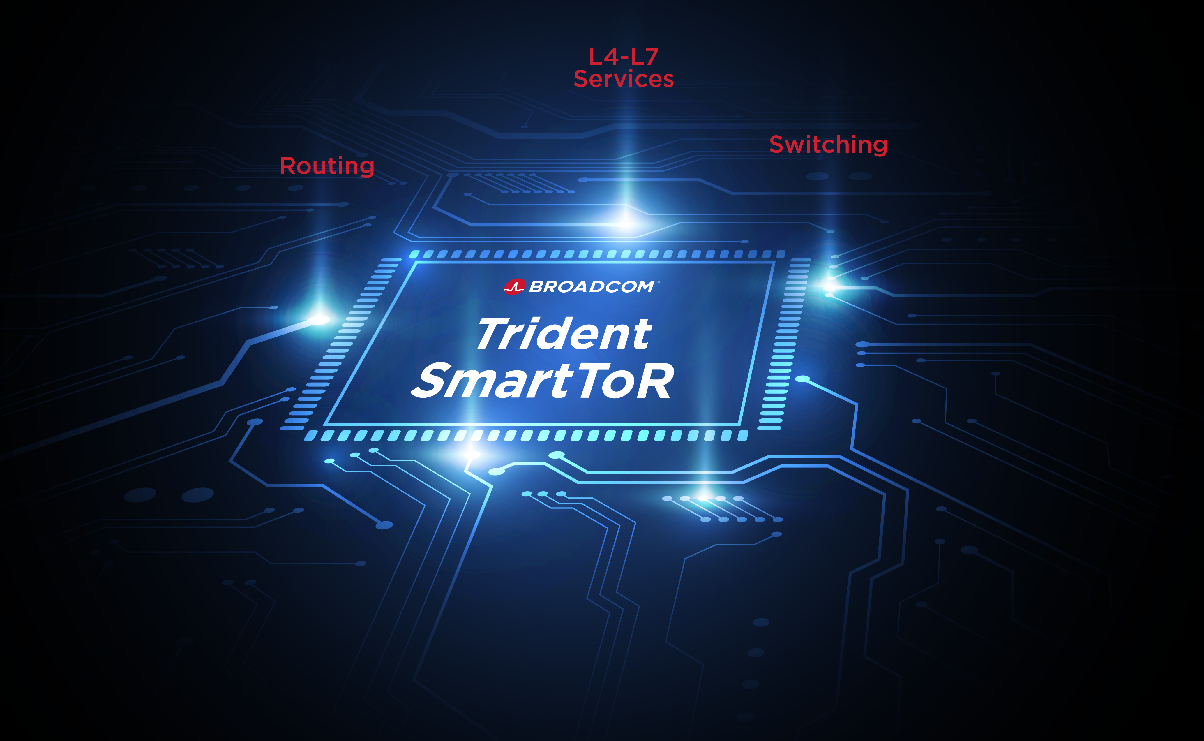 SmartToR-chip-blue-revised